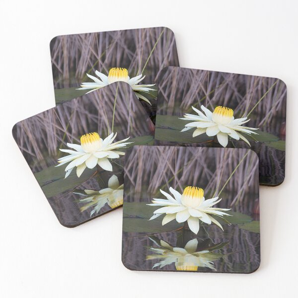 Item preview, Water Lily designed and sold by Marylou Badeaux.