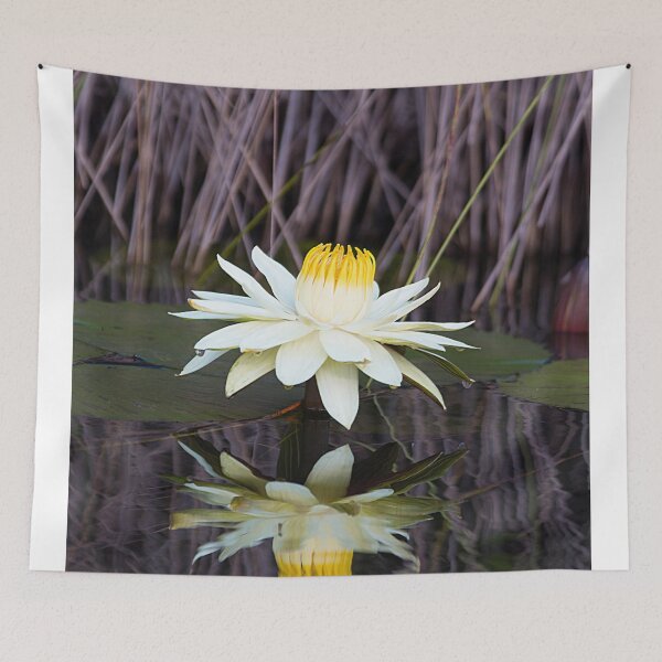 Item preview, Water Lily designed and sold by Marylou Badeaux.
