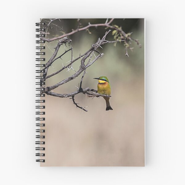 Item preview, Swallow-tailed Bee Eater designed and sold by Marylou Badeaux.