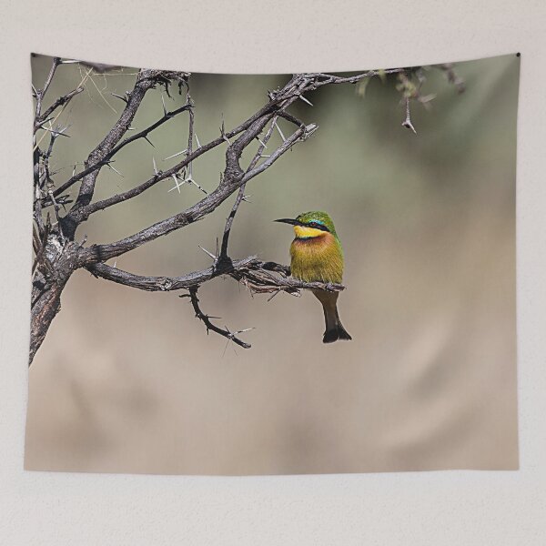 Item preview, Swallow-tailed Bee Eater designed and sold by Marylou Badeaux.