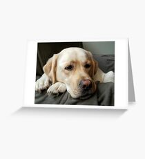 Pouting Greeting Card