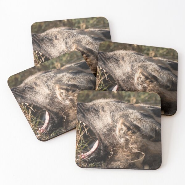Item preview, Call to Hunt designed and sold by Marylou Badeaux.