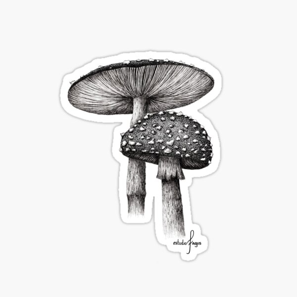 Amanita de los Ríos Sticker