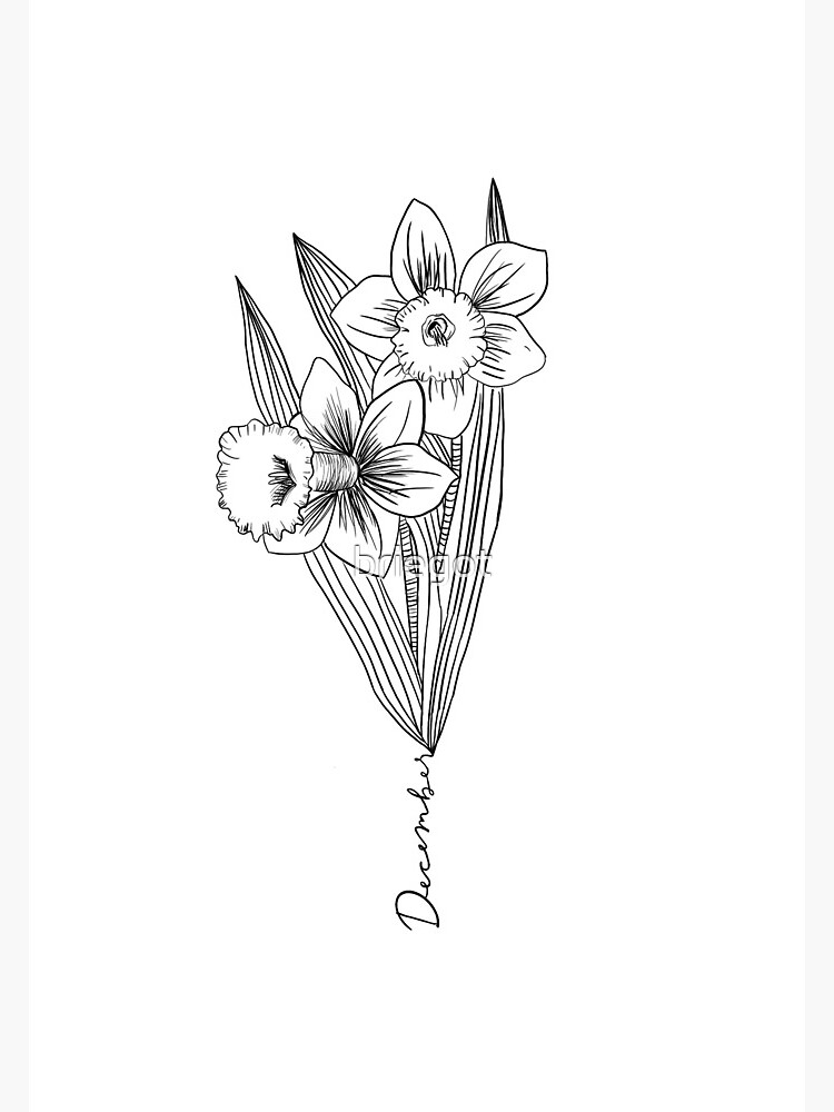 december birth flower narcissus flower tattoo  Clip Art Library