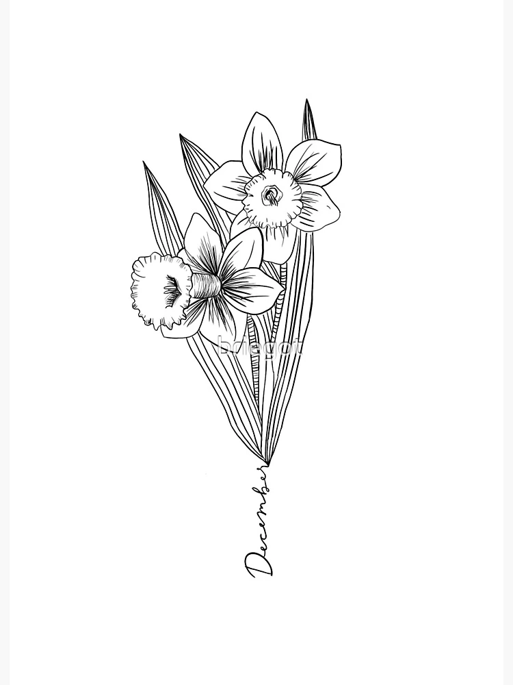 21+ December Birth Flower Drawing