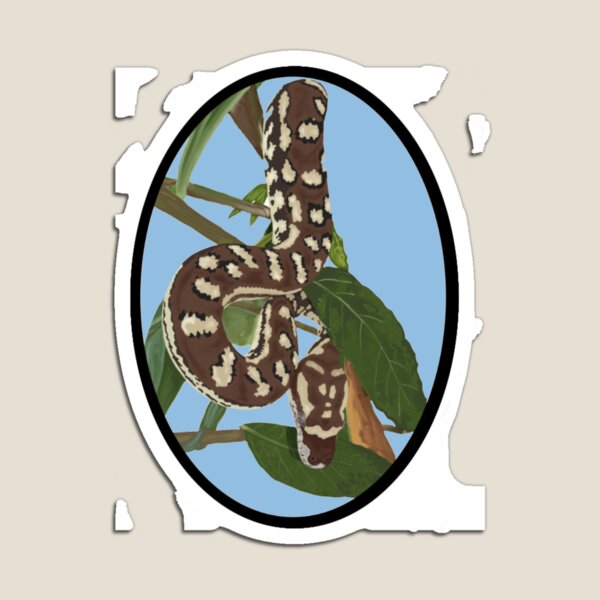 Item preview, Bredli Python in a Tree designed and sold by craigafrechette.