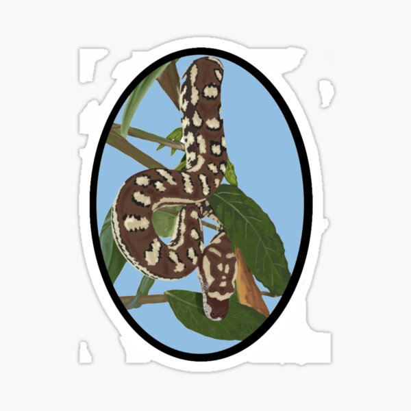 Item preview, Bredli Python in a Tree designed and sold by craigafrechette.