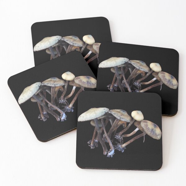 Item preview, Psilocybe Subaeruginosa Mushrooms designed and sold by sporeprintzxyz.