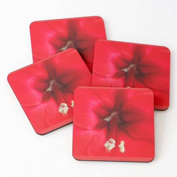 Item preview, Red Amaryllis designed and sold by doodle3Dandy.