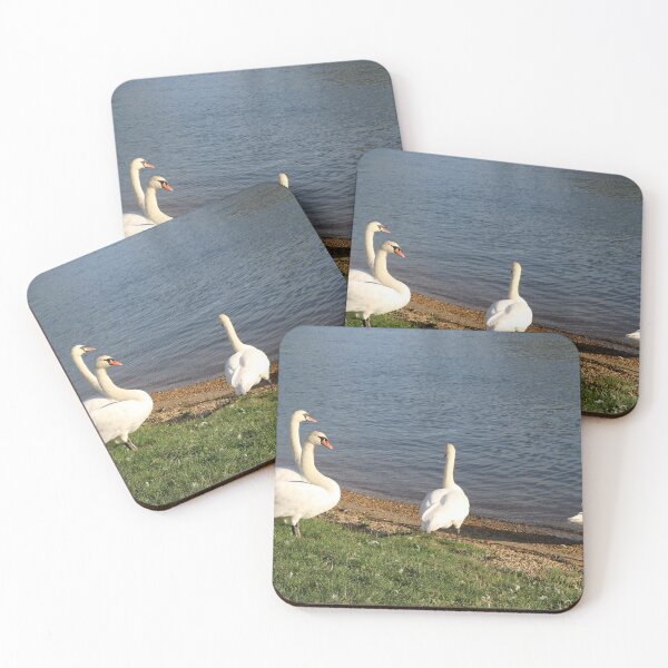 Item preview, Christchurch Swans designed and sold by Michaela Perryman.