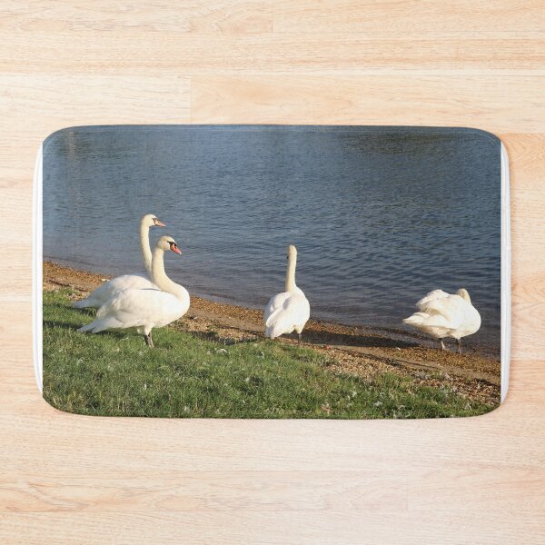Item preview, Christchurch Swans designed and sold by Michaela Perryman.