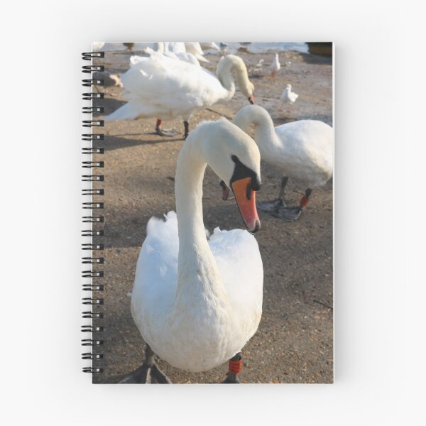 Item preview, The Approach designed and sold by Michaela Perryman.