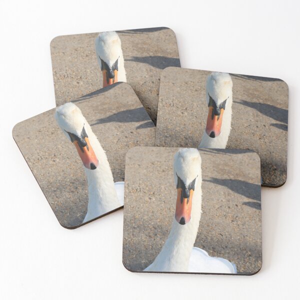 Item preview, Swan at Close Quarters designed and sold by Michaela Perryman.