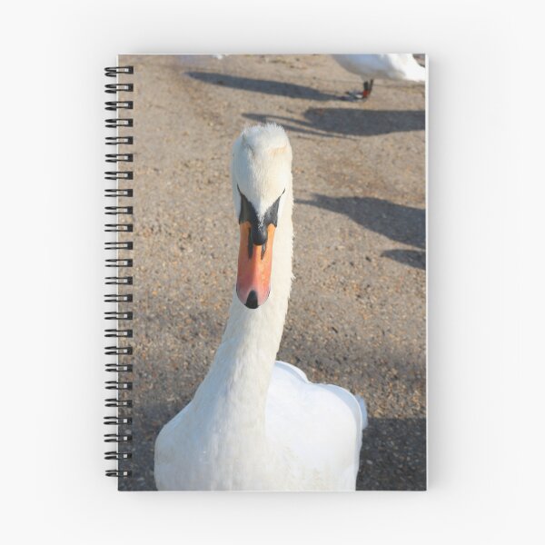 Item preview, Swan at Close Quarters designed and sold by Michaela Perryman.