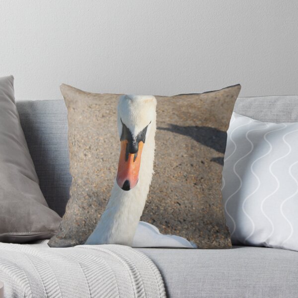 Item preview, Swan at Close Quarters designed and sold by Michaela Perryman.