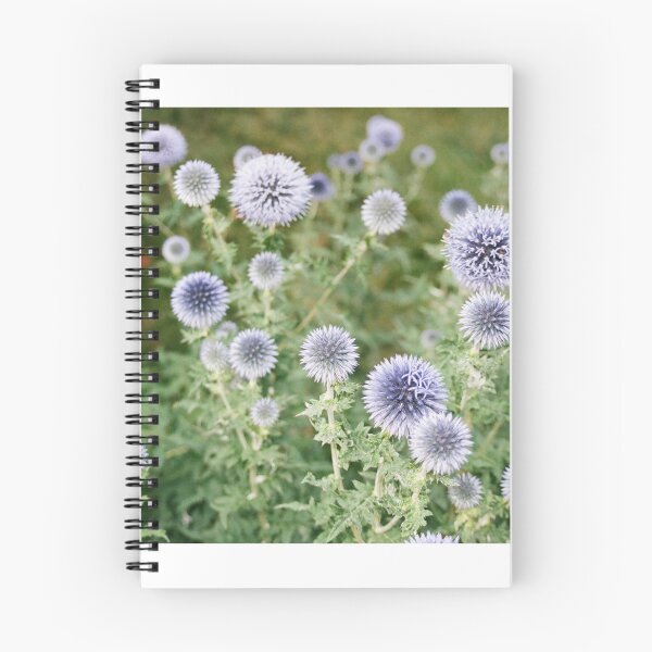Item preview, blue globe thistle in YRBP designed and sold by morganowens.