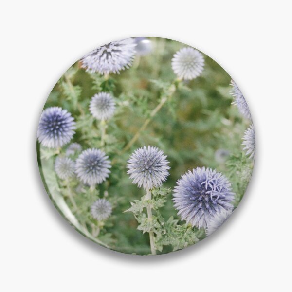 Item preview, blue globe thistle in YRBP designed and sold by morganowens.