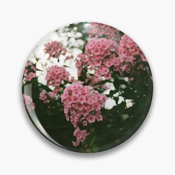 Item preview, pink garden phlox in YRBP designed and sold by morganowens.
