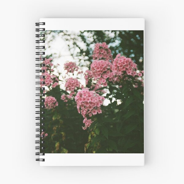 Item preview, pink garden phlox in YRBP designed and sold by morganowens.