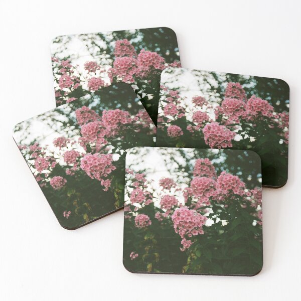 Item preview, pink garden phlox in YRBP designed and sold by morganowens.