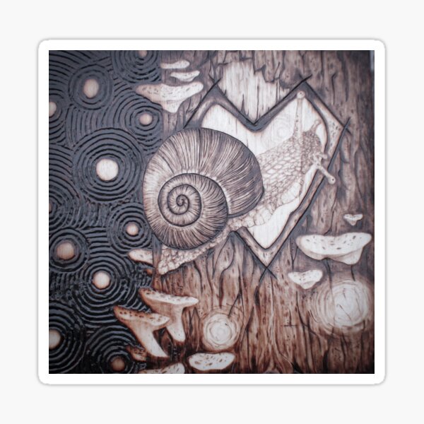 Wood-burned Original Snail Art! Sticker