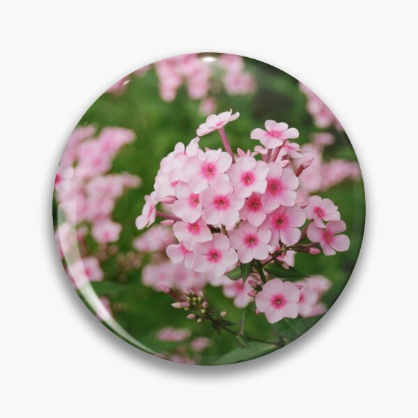 Item preview, pink garden phlox in YRBP 2 designed and sold by morganowens.