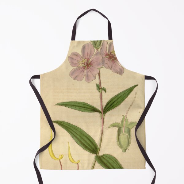 Item preview, Chaetogastra gracilis 63 3481 designed and sold by EsotericBotanic.