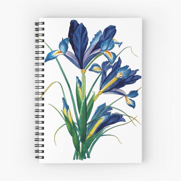 Artikelvorschau, Vintage - Blume - TIR - Blaue Iris entworfen und verkauft von imageresource.
