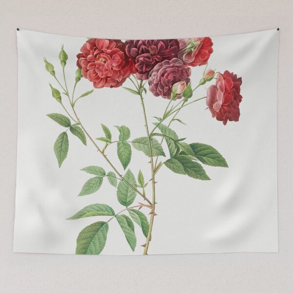 Item preview, Les Roses by Pierre-Joseph Redouté designed and sold by EsotericBotanic.