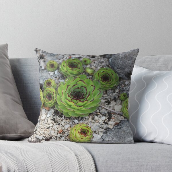 Item preview, Houseleek designed and sold by SweepingShadows.