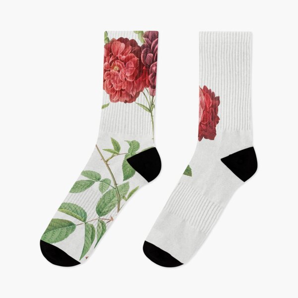 Item preview, Les Roses by Pierre-Joseph Redouté designed and sold by EsotericBotanic.