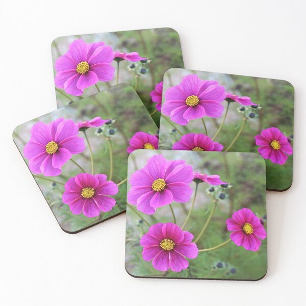 Artikelvorschau, Rosa Kosmosblumen entworfen und verkauft von SweepingShadows.