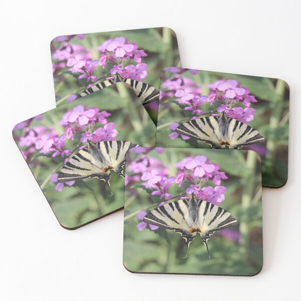 Item preview, Swallowtail Butterfly On Money Flower designed and sold by SweepingShadows.