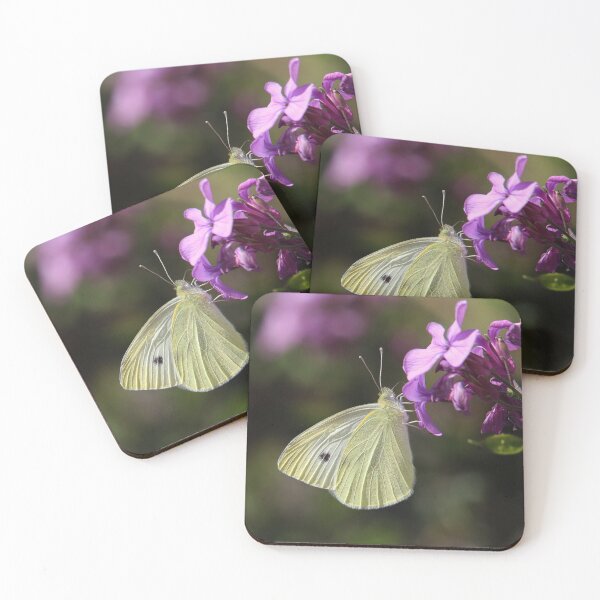 Item preview, Cabbage Butterfly On Money Flower designed and sold by SweepingShadows.