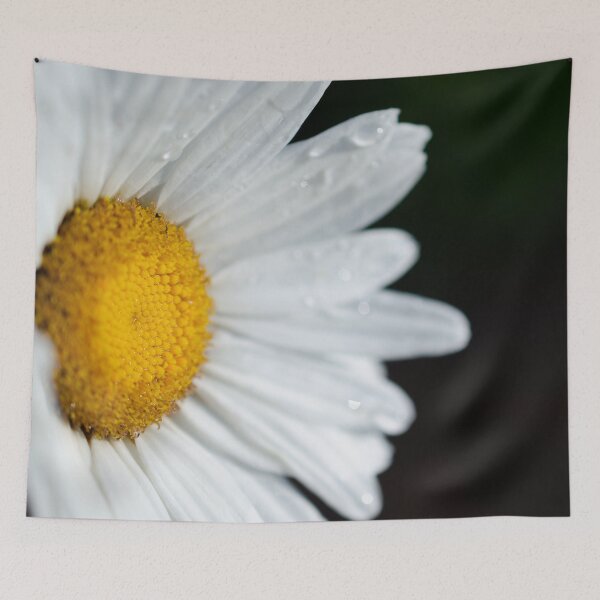 Item preview, Sunny Contrast designed and sold by akiobsession.