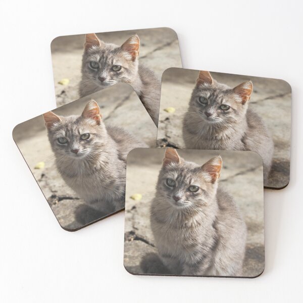 Item preview, Silver Tabby Kitten designed and sold by SweepingShadows.