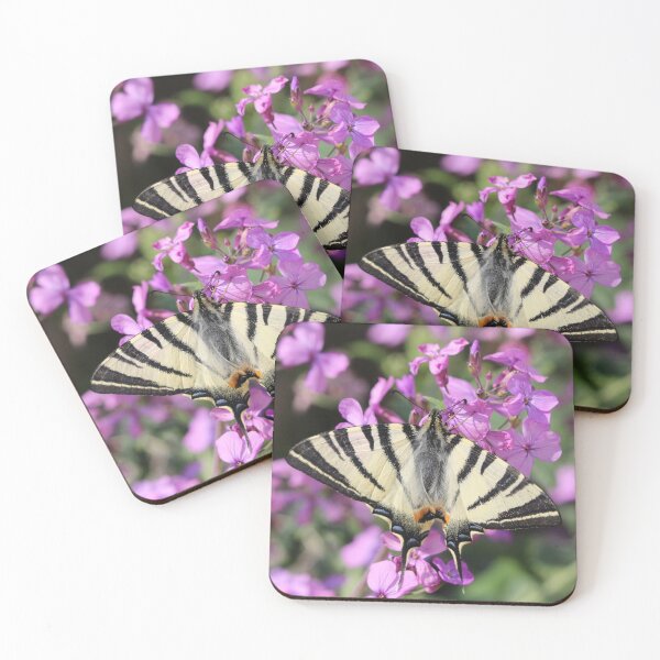 Item preview, Swallowtail Butterfly On Money Flower designed and sold by SweepingShadows.