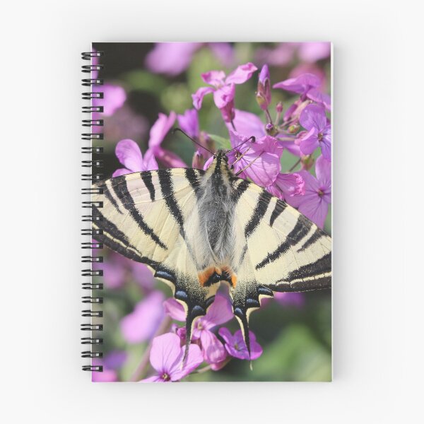 Item preview, Swallowtail Butterfly On Money Flower designed and sold by SweepingShadows.