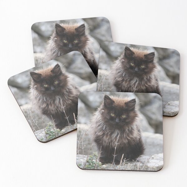 Item preview, Fluffy Black Coat Adorable Kitten designed and sold by SweepingShadows.