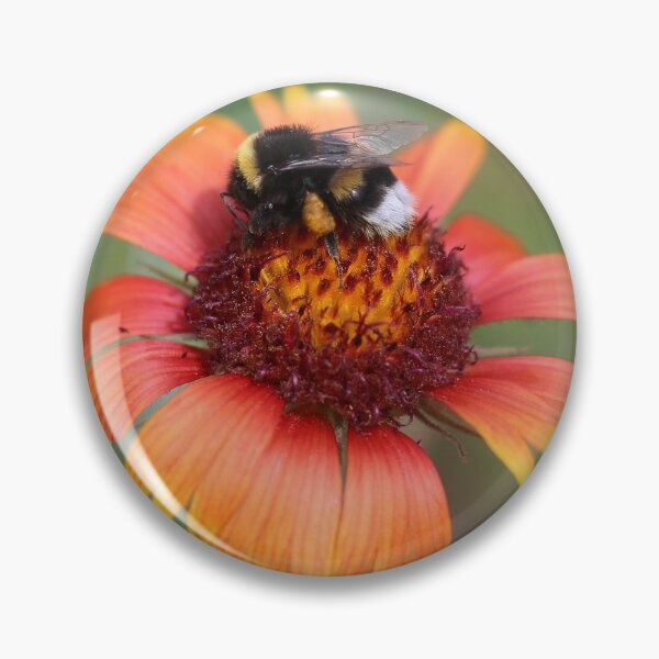 Item preview, Bumblebee On Blanket Flower designed and sold by SweepingShadows.