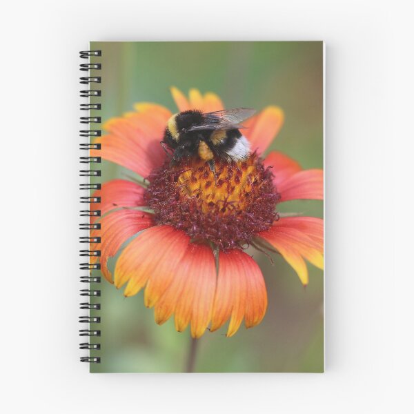 Item preview, Bumblebee On Blanket Flower designed and sold by SweepingShadows.