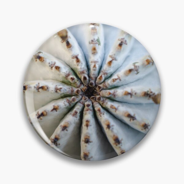 Item preview, New Perspective designed and sold by akiobsession.