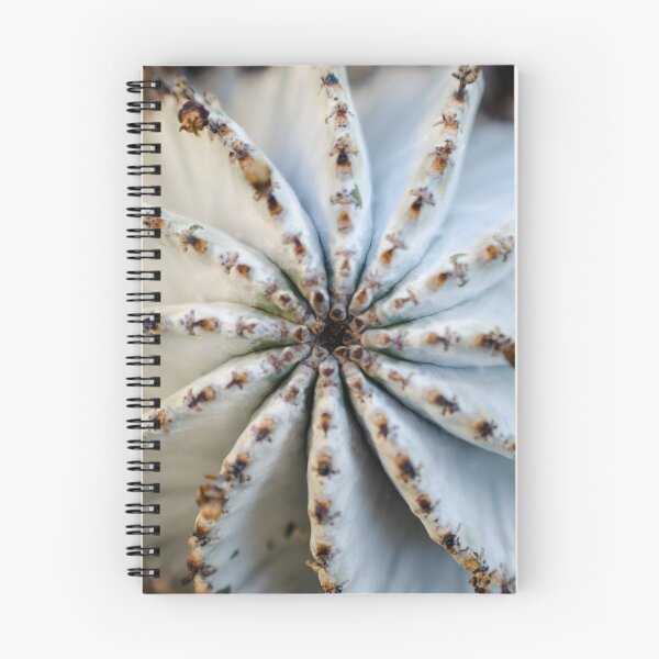 Item preview, New Perspective designed and sold by akiobsession.
