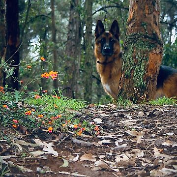 Odog German Shepherd Walks Fairy Forest Jigsaw Puzzle by Peek