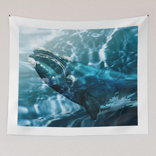 Item preview, Southern Right Whale designed and sold by Trish Hart.