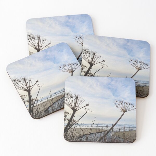 Item preview, Beach Flowers (original photo) designed and sold by Grace Feucht.