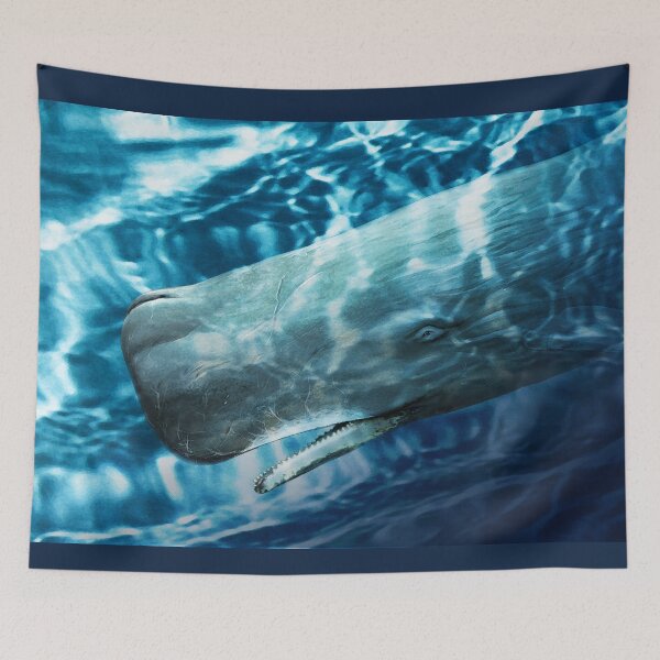 Item preview, Sperm Whale designed and sold by Trish Hart.
