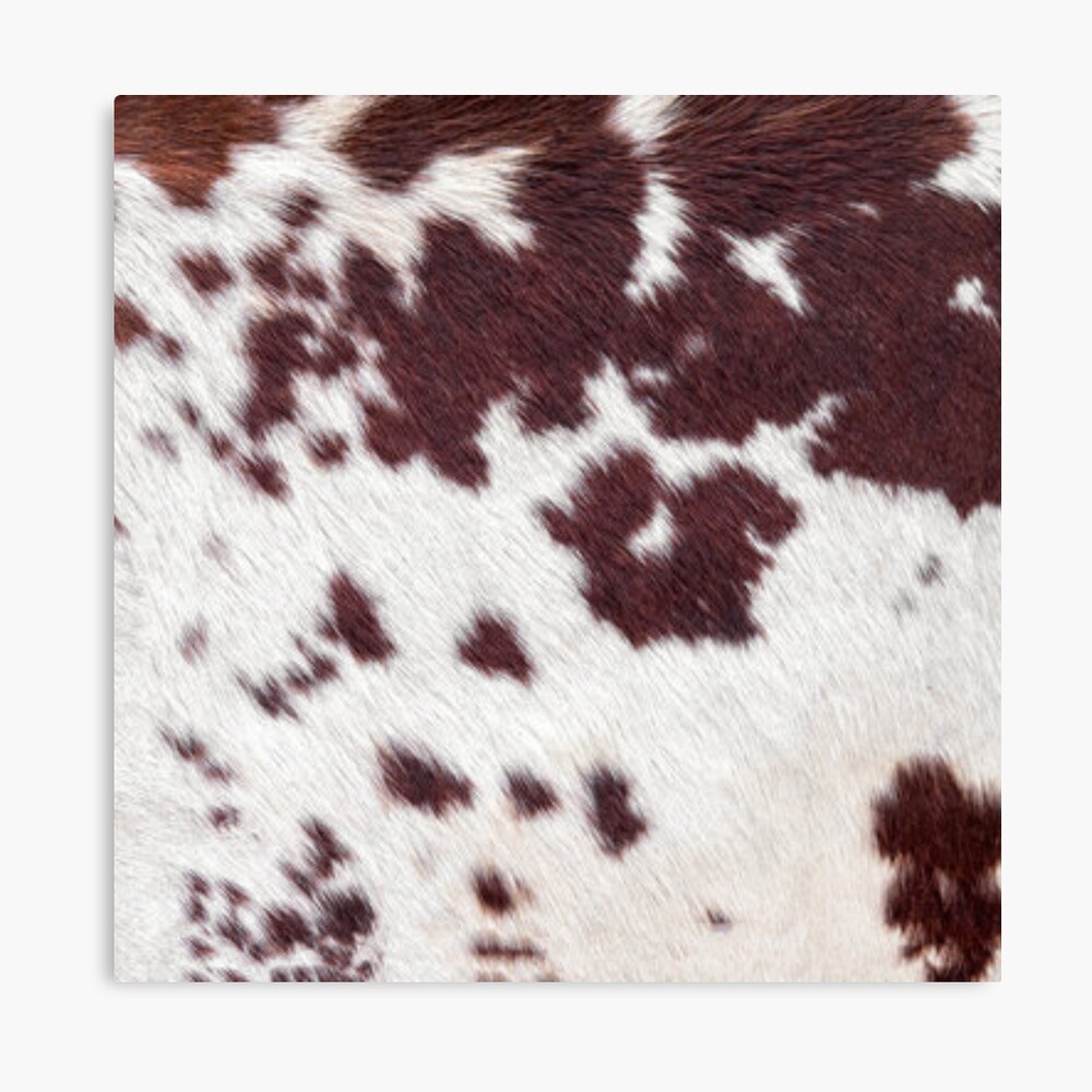 Brown Cow Print Seamless – Wild Cattle Designs