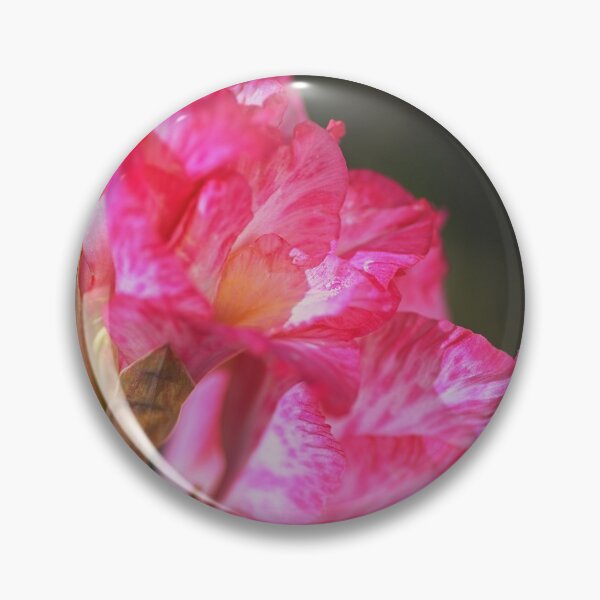 Item preview, Gladioli Cantate Pink In Profile  designed and sold by Joy Watson - Natural Light Photography .