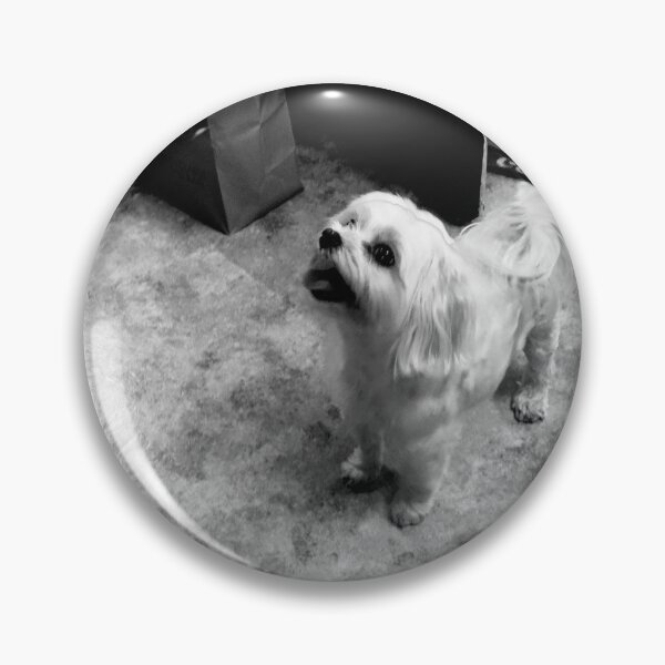 Item preview, Maltese in the Kitchen (in black and white) designed and sold by TmartUS.